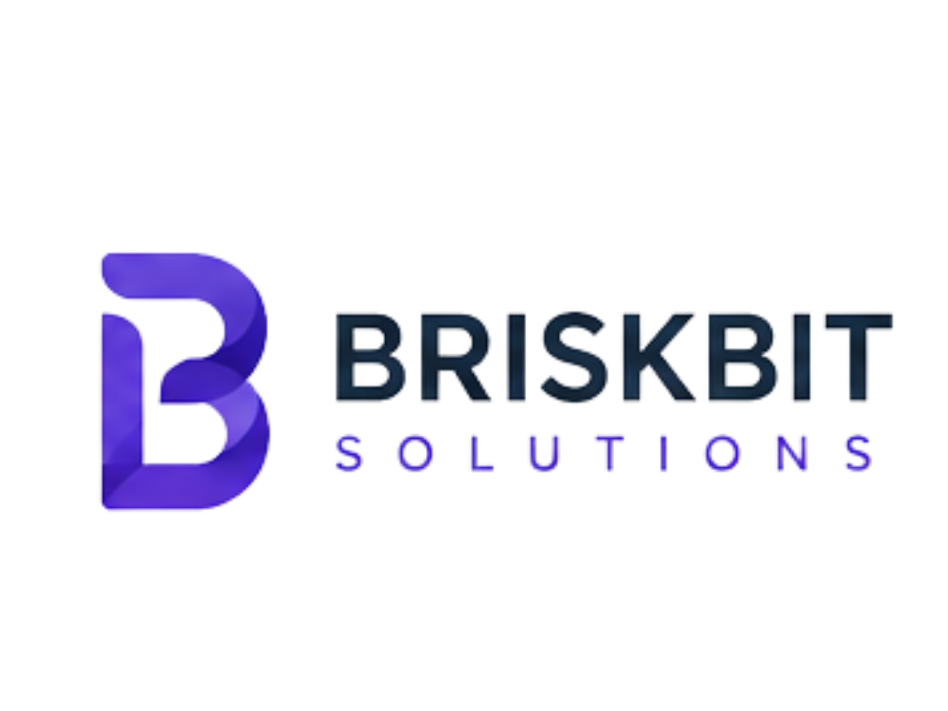 BriskBit Solutions logo